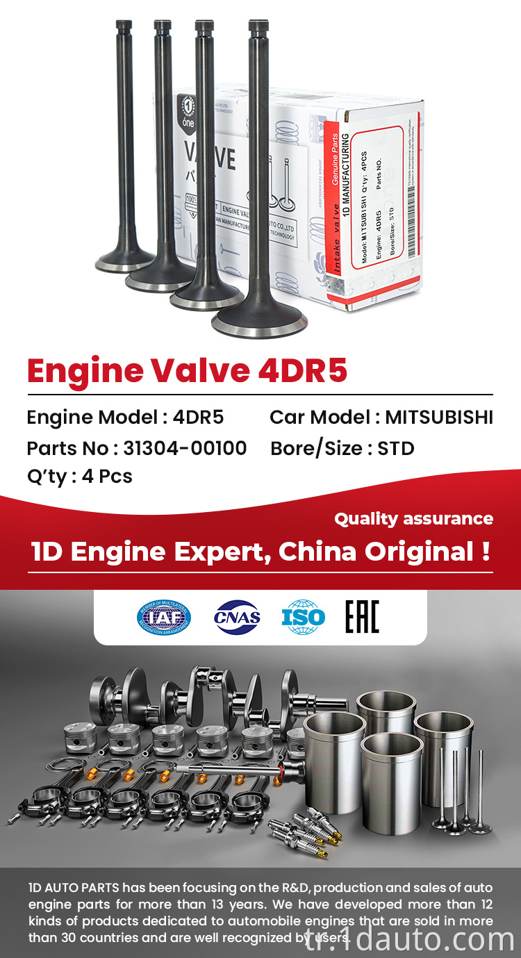 Mitsubishi 4dr5 Motor Valfi Mitsubishi 4dr5 Engine Valve